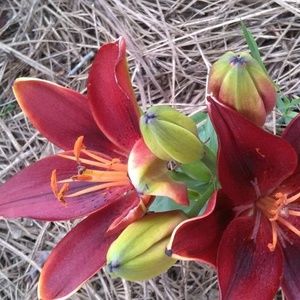 Meet your Posher, Jerome